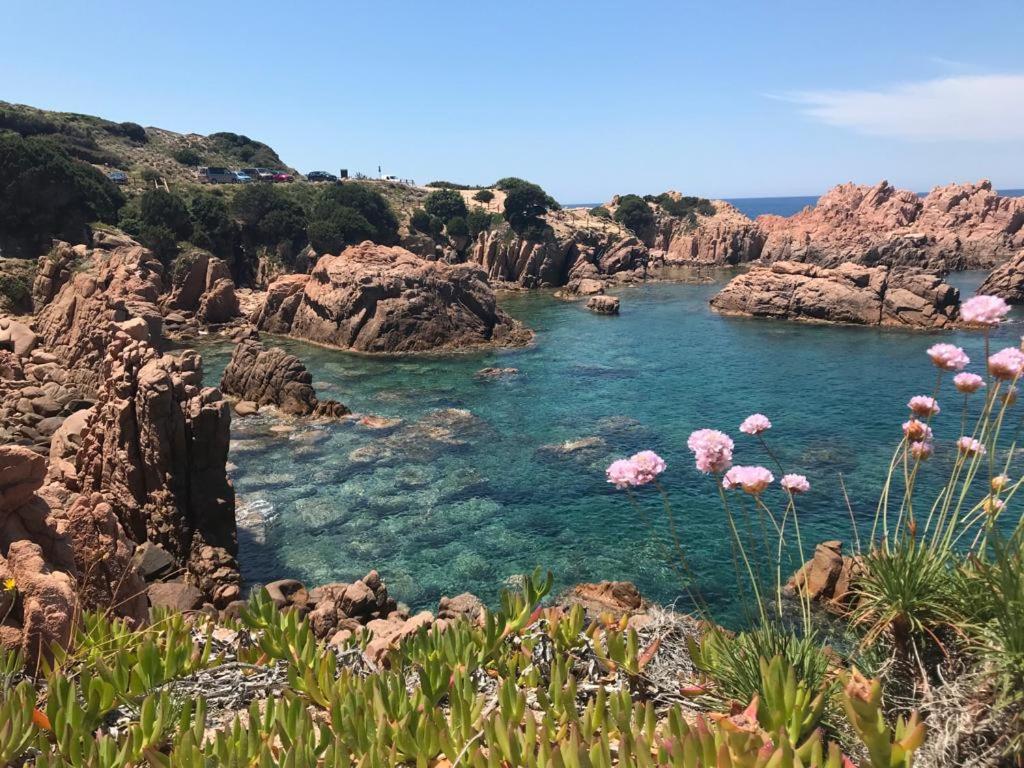 Residenze Paradiso Costa Paradiso Eksteriør billede